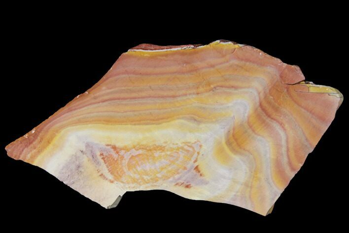 Polished Binthalya Opal Slab - Western Australia #132955